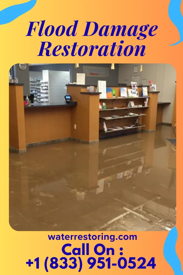 Flood Damage Restoration in Farmland, IN