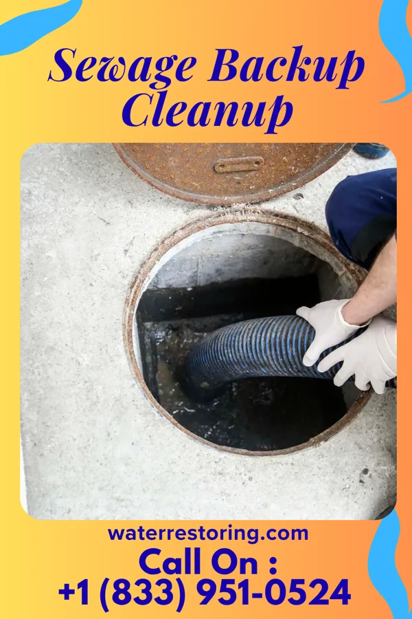 Sewage Backup Cleanup in Farmland, IN